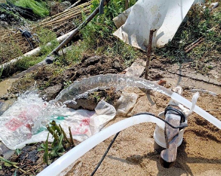 盐都果园种树打井
